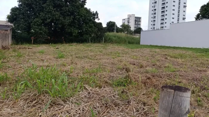 2 Lotes Juntos no Setor Vila Rosa 938m²