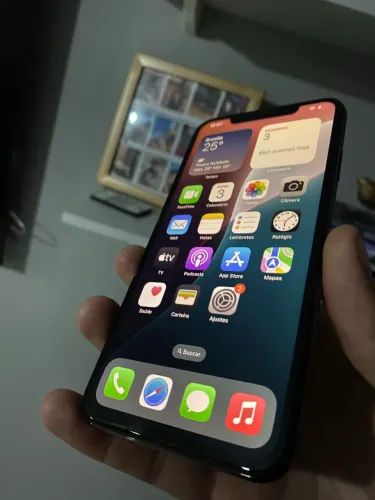 XS MAX 256GB