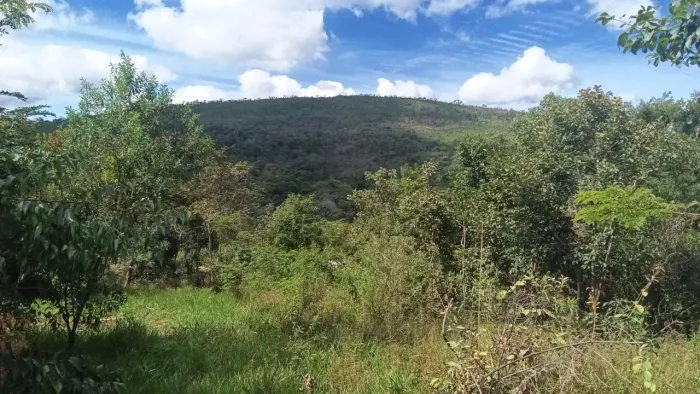 Áreas de 1000m em esmeraldas