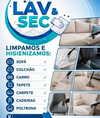Lavagem a seco,.:: profissional ::