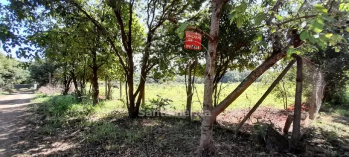 Terreno para alugar com 3.000m² em Londrina