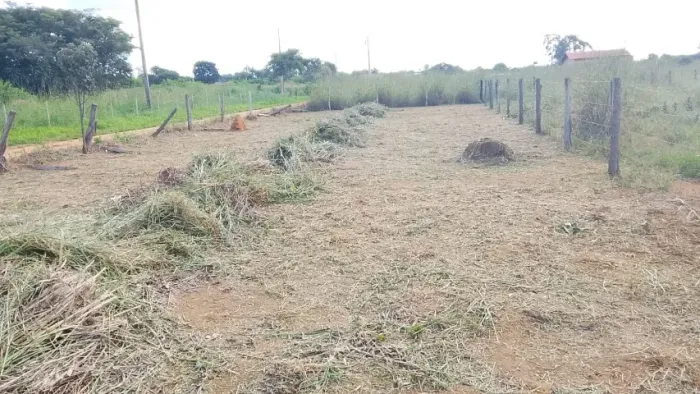 Lote 26 de Setembro Rua 5 Comercial