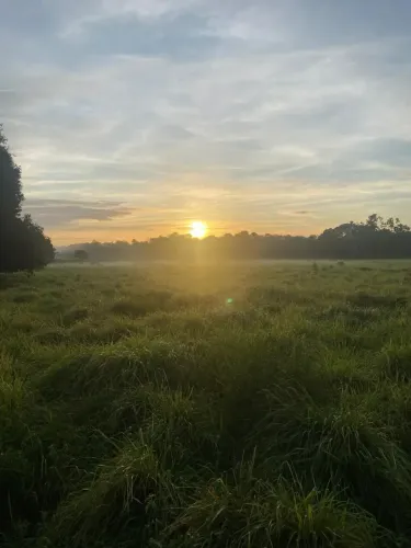 Fazenda para venda tem 300 hectares, com casa, curral em zona rural - Alvorada D'Oeste - R