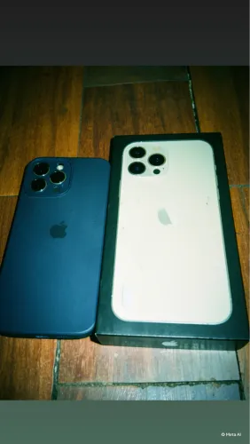 iPhone 13 Pro Max 256 