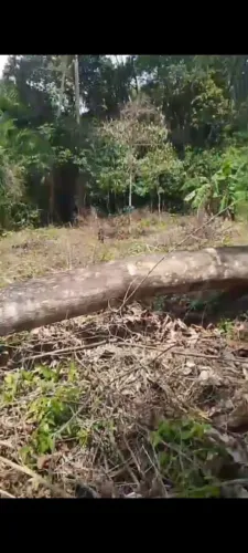 Vendo ou troco terra pra construção de um bom sítio