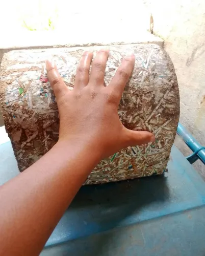 Toca para Coelhos, porquinhos da índia, ratos Twister chinchilas