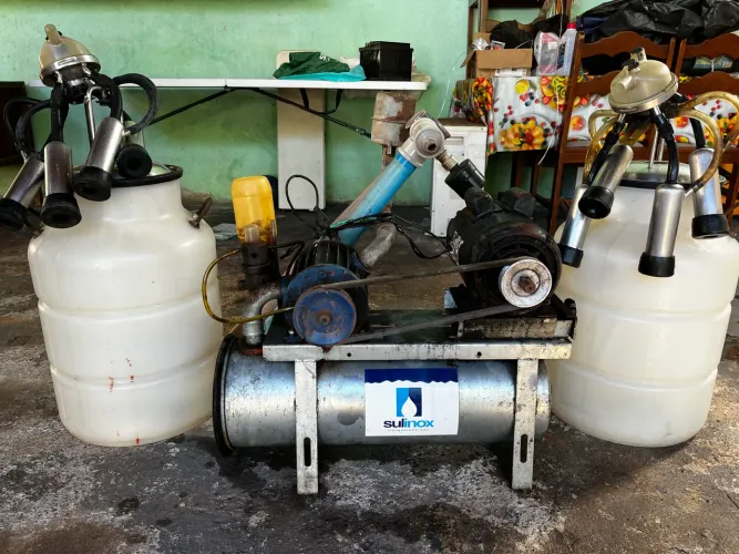 Ordenha balde ao Pé
