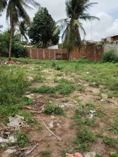 Vendo terreno com 385m², ideal para construção de casa ou investimento.