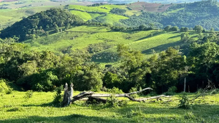 Fazenda a venda em Ouro Fino -MG