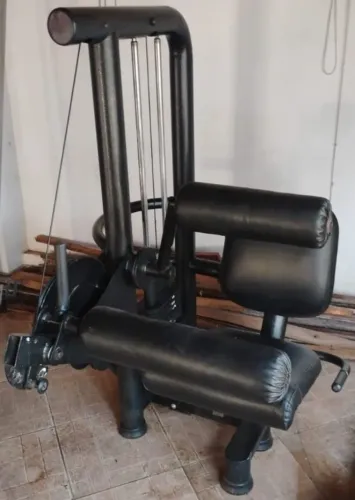 Flexora sentada 80 kg