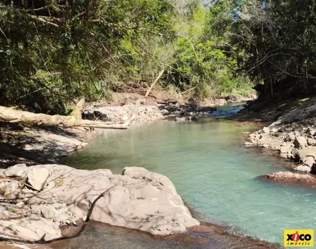 Sítio / Chácara para Venda em Nova Petrópolis, Linha Pirajá Baixa