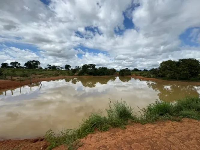 Fazenda dupla aptidão a venda em São João D?aliança com 460 hectares ou 95 alqueires.