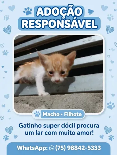 Para doação. 
