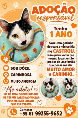 Gata