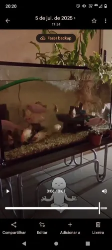 Aquário 200 litros 