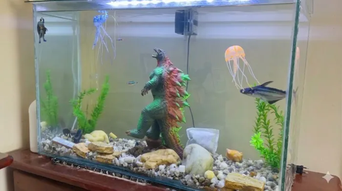 Aquario