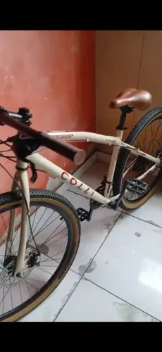 BIKE ARO 29