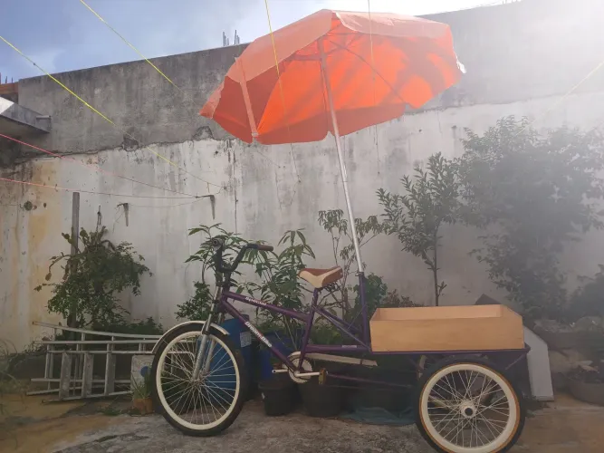 Bicicleta de carga