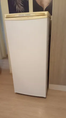 Vende se ou troca Freezer da marca electrolux modelo f17 com 5 compartimentos intactos.