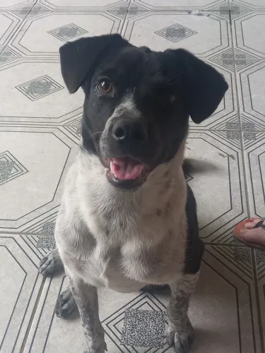 Lar Temporário