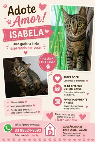 Gatinha filhote para adoção responsável 