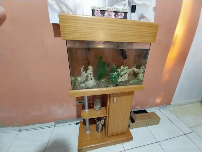 Aquário