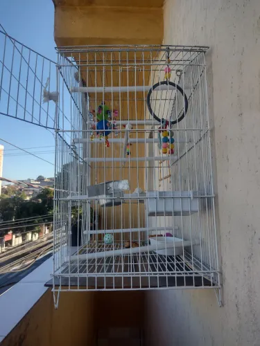 Gaiola grande todos os acessórios poleiro bebedor de água pote para comida e brinquedo