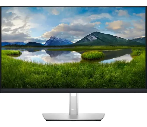 Monitor Dell P2422H Seminovo em Excelente Estado