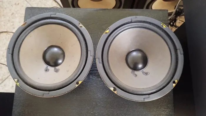 Woofer Sony 6,5 polegadas