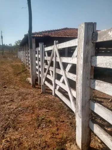 Fazenda 203 Hectares /Pecuária a Agricultura /4 Poços Artesiano..