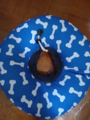 Colar cirúrgico 