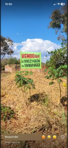 Vendo terreno em luzimangues 