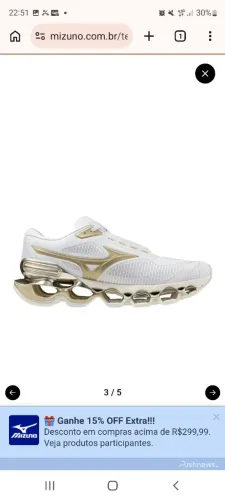 Mizuno wave prophecy 15