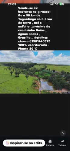 Vendo 32 hectares