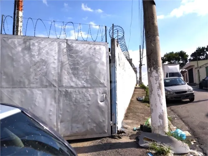 Terreno para alugar em Jardim Ivana, São Paulo - SP