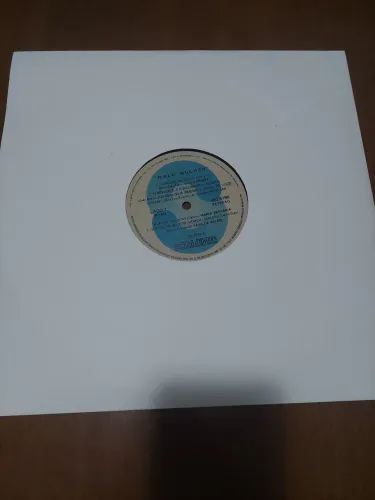 Vinil Malu Mulher