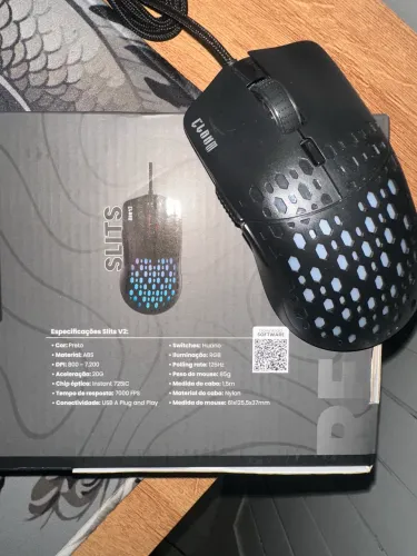 SLITS V2 (mouse)