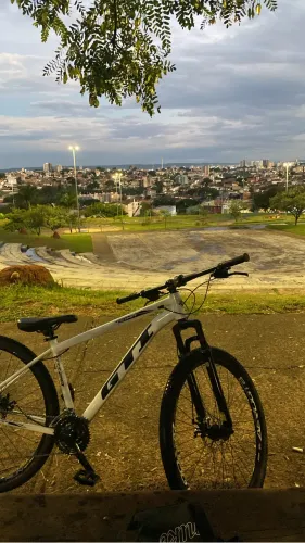 BIKE ARO 29