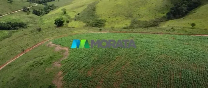 FAZENDA À VENDA - 182 HECTARES - BELO VALE (MG)