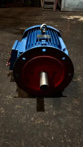 Motor eletrico WEG