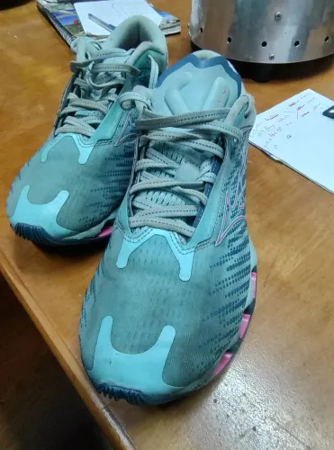 Mizuno wave prophecy 12 