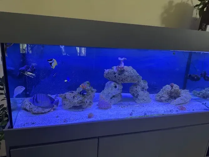Aquario Marinho Completo - 950L