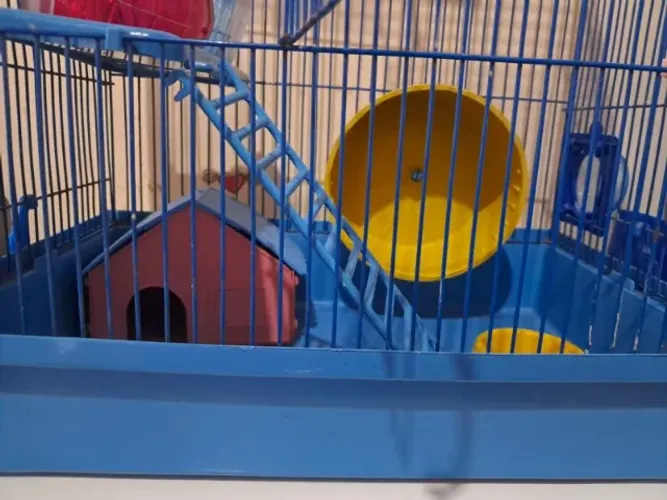Gaiola hamster