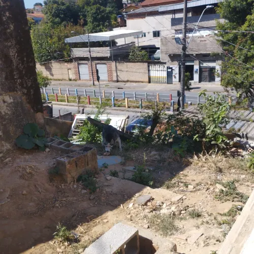 Vendo ou troco lote .