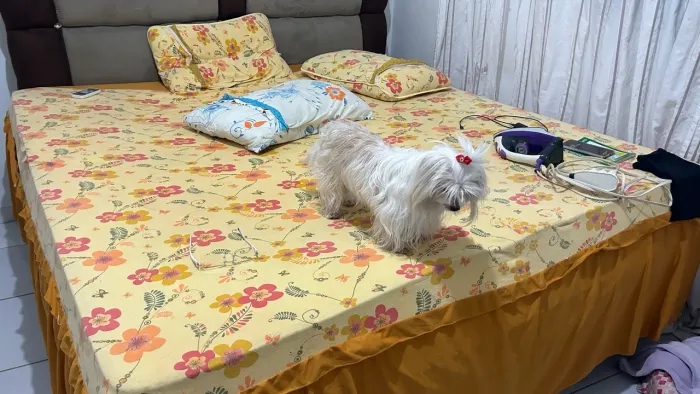 VENDE SE CAMA SUPER KING + LENÇOL DELA + cabeceira
