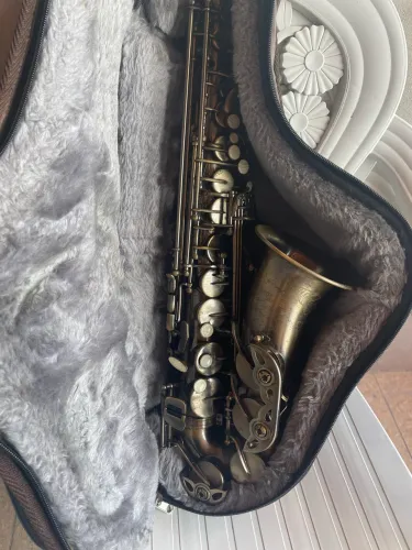 Saxofone Alto Shelter