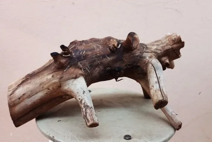 Tronco de goiabeira para aquário