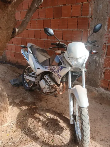 Falcon perfeita