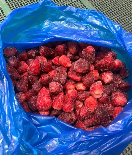 Seja revendedor morango do Egito