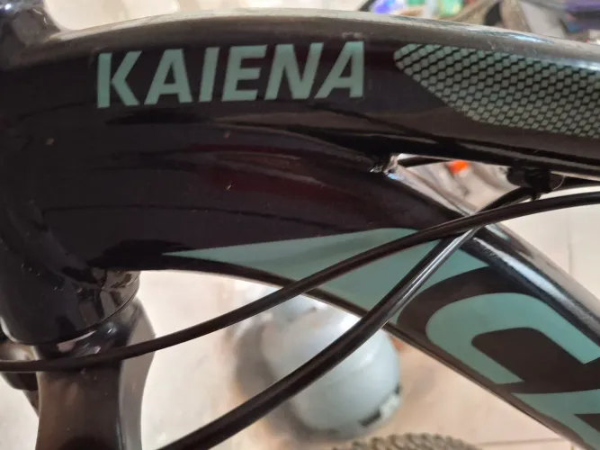 Bicicleta caloi CAENA ARO 29